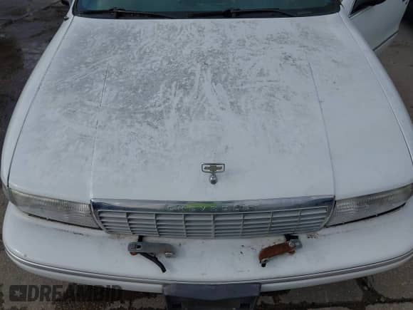 1996 Chevrolet Caprice 1SA Special Value с VIN 1G1BL52P3TR183328, выставлен на аукционе IAAI как лот 43535005 с пробегом Не указан миль и . История ставок и продаж доступна на DreamBid. Изображение 10.