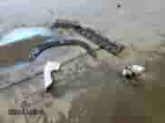 2023 Chevrolet TrailBlazer LS with VIN KL79MNSL1PB175790, listed as a Copart auction lot 62233285 with 12,013 mi miles and Salvage title. Bid and sale history available at DreamBid. Image 13.