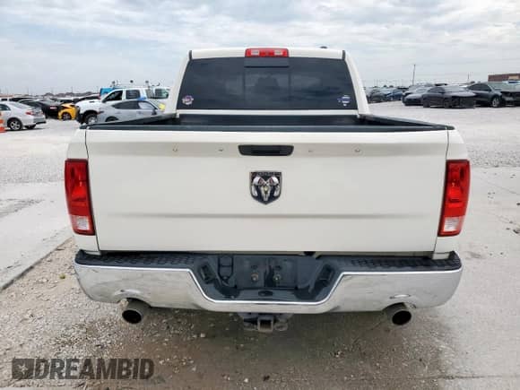 2009 Dodge 1500 SLT with VIN 1D3HV13T49S703125, listed as a Copart auction lot 66484735 with 241,814 mi miles and Salvage title. Bid and sale history available at DreamBid. Image 6.
