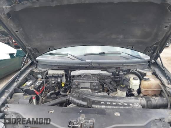 2006 Ford F-150 XLT with VIN 1FTRX12516FB29484, listed as a IAAI auction lot 43001594 with 212,081 mi miles and . Bid and sale history available at DreamBid. Image 10.