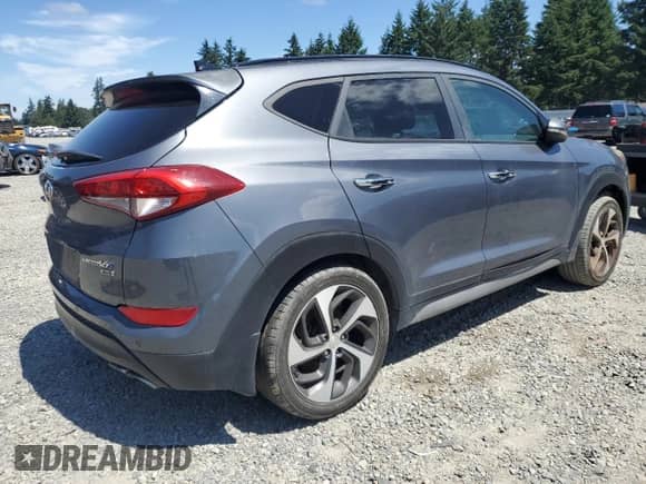 2017 Hyundai Tucson Eco with VIN KM8J3CA24HU288473, listed as a Copart auction lot 63448195 with Not provided miles and Clean title. Bid and sale history available at DreamBid. Image 3.