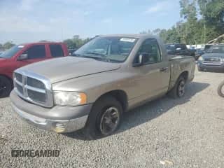 2002 Dodge 1500 z VIN 1D7HA16K32J235204, wystawiony jako Copart lot #68419325 z przebiegiem 163 817 mil mil oraz Nie do naprawy • Non repairable. Historia ofert i sprzedaży dostępna na DreamBid. Obrazek 1.
