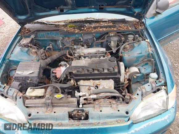 1995 Honda Civic with VIN 2HGEH237XSH516384, listed as a IAAI auction lot 42193189 with 357,539 mi miles and . Bid and sale history available at DreamBid. Image 10.