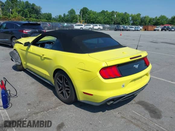 2021 Ford Mustang EcoBoost с VIN 1FATP8UH4M5110331, выставлен на аукционе IAAI как лот 42482803 с пробегом 78 858 миль миль и . История ставок и продаж доступна на DreamBid. Изображение 3.