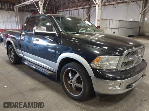 2010 Dodge 1500 SLT with VIN 1D7RV1GT5AS252157, listed as a IAAI auction lot 43045754 with 160,830 mi miles and . Bid and sale history available at DreamBid. Image 1.