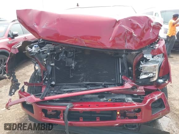 2019 Ford F-150 XL with VIN 1FTEX1EPXKKD02917, listed as a IAAI auction lot 43147307 with 20,628 mi miles and . Bid and sale history available at DreamBid. Image 13.