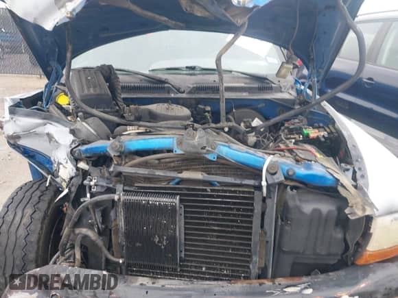 1998 Dodge Dakota SLT with VIN 1B7GG22YXWS683170, listed as a IAAI auction lot 41903787 with Not provided miles and . Bid and sale history available at DreamBid. Image 10.