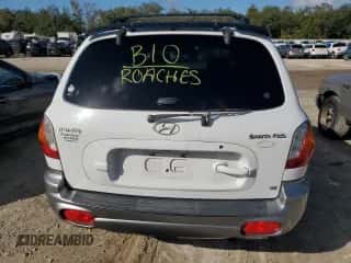 2001 Hyundai Santa Fe GLS с VIN KM8SC83D91U048535, выставлен на аукционе Copart как лот 85041184 с пробегом 218 621 миль миль и Списание • Salvage title. История ставок и продаж доступна на DreamBid. Изображение 6.