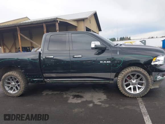 2010 Dodge 1500 SLT with VIN 1D7RV1GT9AS224037, listed as a IAAI auction lot 41134951 with 185,558 mi miles and . Bid and sale history available at DreamBid. Image 13.