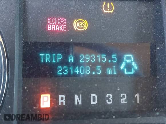 2009 Ford F-150 XL with VIN 1FTRW12819FB47372, listed as a IAAI auction lot 41820816 with 231,408 mi miles and . Bid and sale history available at DreamBid. Image 15.