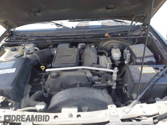 2004 Chevrolet TrailBlazer EXT LS z VIN 1GNES16SX46123166, wystawiony jako IAAI lot #42750691 z przebiegiem 131 507 mil mil oraz . Historia ofert i sprzedaży dostępna na DreamBid. Obrazek 10.