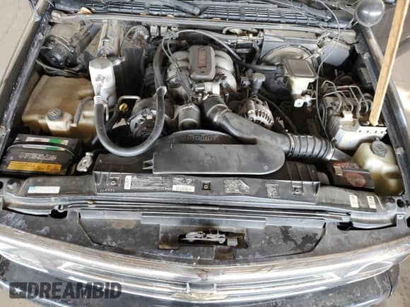 1995 Chevrolet Blazer LS с VIN 1GNCS18W4S2131016, выставлен на аукционе Copart как лот 56599875 с пробегом 151 150 миль миль и Списание • Salvage title. История ставок и продаж доступна на DreamBid. Изображение 11.