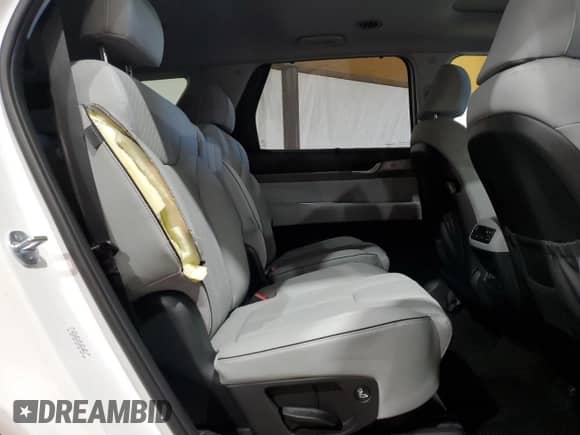 2023 Hyundai Palisade SEL с VIN KM8R4DGEXPU592378, выставлен на аукционе Copart как лот 55386084 с пробегом 10 826 миль миль и . История ставок и продаж доступна на DreamBid. Изображение 11.