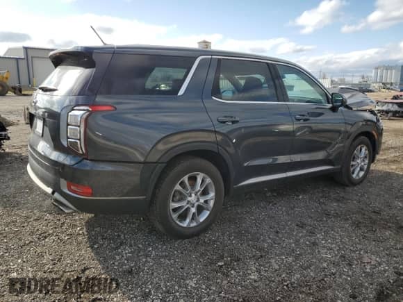 2020 Hyundai Palisade SE с VIN KM8R14HE0LU064057, выставлен на аукционе Copart как лот 52162665 с пробегом 74 347 миль миль и Списание • Salvage title. История ставок и продаж доступна на DreamBid. Изображение 3.