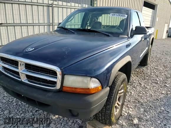 2004 Dodge Dakota with VIN 1D7HG12K24S669115, listed as a Copart auction lot 69128505 with 176,242 mi miles and Salvage title. Bid and sale history available at DreamBid. Image 13.