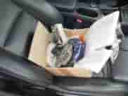 2016 Mercedes-Benz CLA 250 с VIN WDDSJ4EB7GN302864, выставлен на аукционе IAAI как лот 43542396 с пробегом 114 978 миль миль и . История ставок и продаж доступна на DreamBid. Изображение 12.