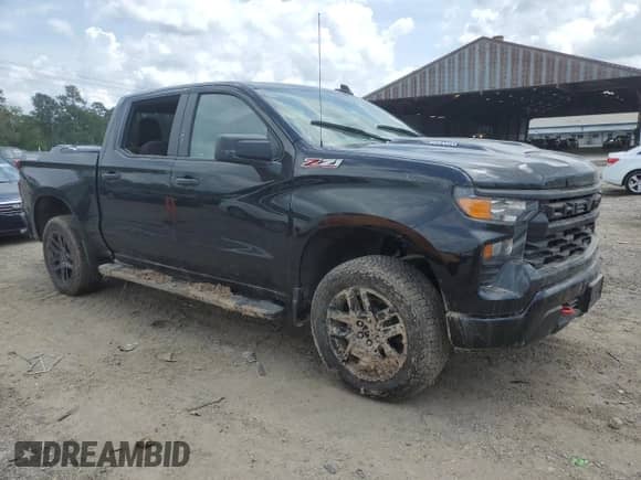 2024 Chevrolet Silverado 1500 Custom Trail Boss z VIN 3GCUDCE86RG359836, wystawiony jako Copart lot #54932715 z przebiegiem Nie podano mil oraz Szkoda całkowita • Salvage title. Historia ofert i sprzedaży dostępna na DreamBid. Obrazek 4.