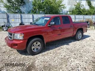 2008 Dodge Dakota SLT z VIN 1D7HW48NX8S539644, wystawiony jako Copart lot #68586715 z przebiegiem 81 195 mil mil oraz Nie do naprawy • Non repairable. Historia ofert i sprzedaży dostępna na DreamBid. Obrazek 1.