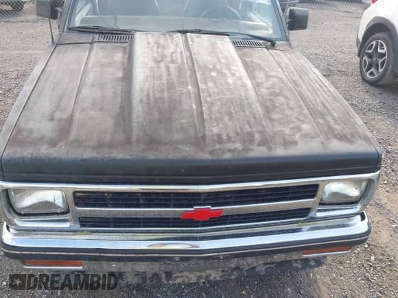 1984 Chevrolet S-10 с VIN 1GCCS14BXE2170340, выставлен на аукционе IAAI как лот 42728993 с пробегом 314 483 миль миль и . История ставок и продаж доступна на DreamBid. Изображение 6.