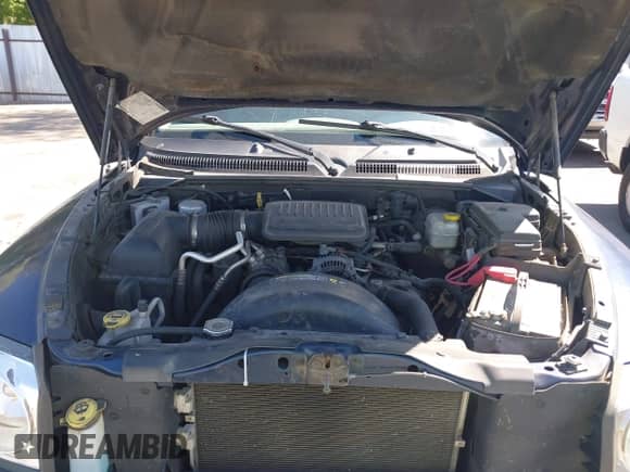 2005 Dodge Dakota SLT z VIN 1D7HE42K25S198883, wystawiony jako IAAI lot #42687755 z przebiegiem 185 522 mil mil oraz . Historia ofert i sprzedaży dostępna na DreamBid. Obrazek 10.