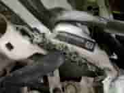 2017 Ford F-150 XL with VIN 1FTEX1EFXHKC09220, listed as a Copart auction lot 81631955 with Not provided miles and Salvage title. Bid and sale history available at DreamBid. Image 12.