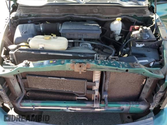 2004 Dodge 1500 ST z VIN 1D7HA16N44J101041, wystawiony jako Copart lot #44457215 z przebiegiem 160 352 mil mil oraz Czysty tytuł • Clean title. Historia ofert i sprzedaży dostępna na DreamBid. Obrazek 11.