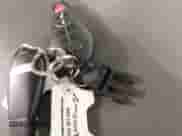 2019 Ram 1500 Express с VIN 1C6RR7FT9KS615197, выставлен на аукционе IAAI как лот 41274895 с пробегом 106 055 миль миль и . История ставок и продаж доступна на DreamBid. Изображение 11.