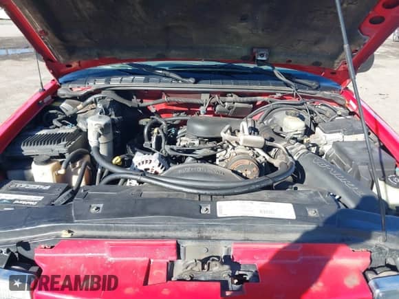 1999 Chevrolet Blazer LS z VIN 1GNDT13W2X2163804, wystawiony jako IAAI lot #41527624 z przebiegiem 185 151 mil mil oraz . Historia ofert i sprzedaży dostępna na DreamBid. Obrazek 10.