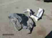 2012 Ford Mustang Premium с VIN 1ZVBP8AMXC5259166, выставлен на аукционе Copart как лот 86184495 с пробегом 182 667 миль миль и Списание • Salvage title. История ставок и продаж доступна на DreamBid. Изображение 12.