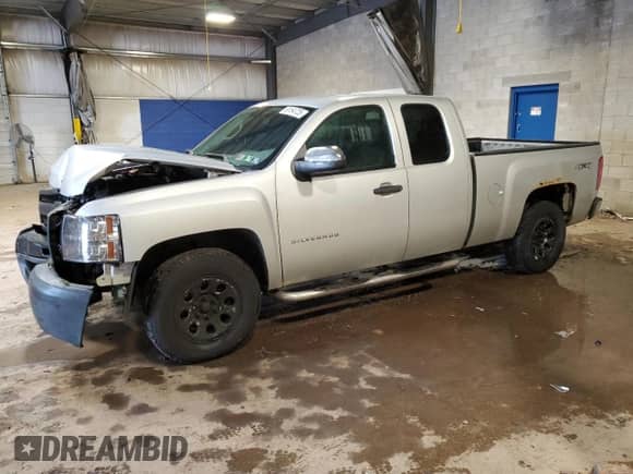 2010 Chevrolet Silverado 1500 Work Truck with VIN 1GCSKPEA0AZ122982, listed as a Copart auction lot 58164725 with 143,479 mi miles and Salvage title. Bid and sale history available at DreamBid. Image 1.