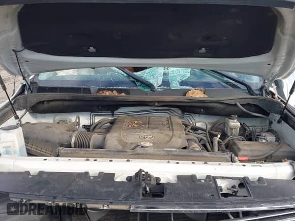 2019 Toyota Tundra SR5 с VIN 5TFAY5F13KX841010, выставлен на аукционе IAAI как лот 41297569 с пробегом 53 169 миль миль и . История ставок и продаж доступна на DreamBid. Изображение 10.