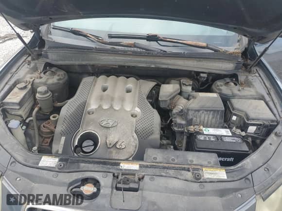 2007 Hyundai Santa Fe GLS z VIN 5NMSG73D47H005899, wystawiony jako Copart lot #66765275 z przebiegiem 282 967 mil mil oraz Czysty tytuł • Clean title. Historia ofert i sprzedaży dostępna na DreamBid. Obrazek 12.