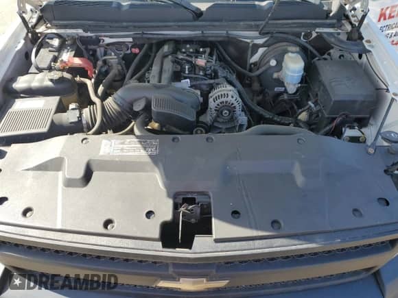 2009 Chevrolet Silverado 1500 Work Truck with VIN 1GCEC14C39Z192904, listed as a Copart auction lot 55964615 with 262,603 mi miles and Clean title. Bid and sale history available at DreamBid. Image 11.