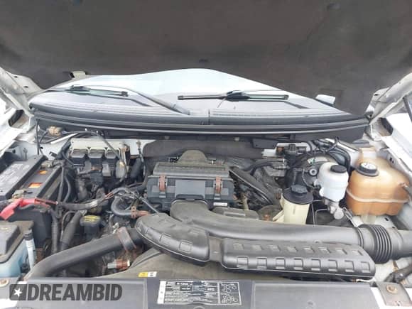 2008 Ford F-150 XL with VIN 1FTPX12V68KD28273, listed as a IAAI auction lot 43418945 with 198,663 mi miles and . Bid and sale history available at DreamBid. Image 10.