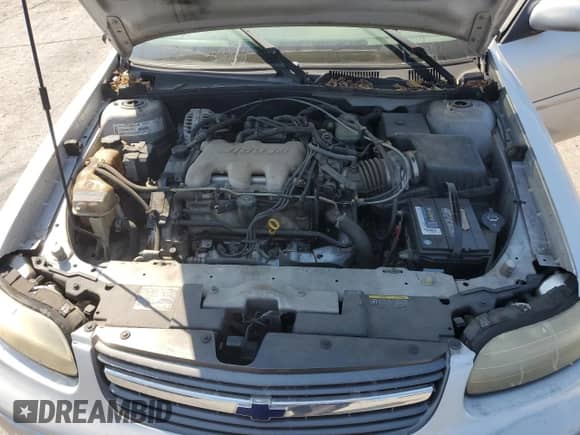 2002 Chevrolet Malibu LS с VIN 1G1NE52J32M627015, выставлен на аукционе Copart как лот 80702705 с пробегом 51 633 миль миль и Списание • Salvage title. История ставок и продаж доступна на DreamBid. Изображение 11.