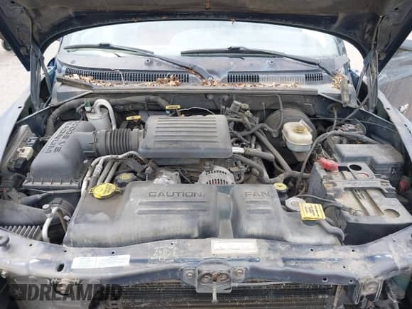 2000 Dodge Dakota Sport with VIN 1B7GL22N4YS693679, listed as a IAAI auction lot 42266579 with 171,629 mi miles and . Bid and sale history available at DreamBid. Image 10.