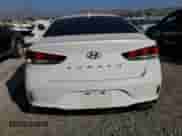 2019 Hyundai Sonata Sport with VIN 5NPE34AF4KH820207, listed as a Copart auction lot 82726775 with 80,599 mi miles and Salvage title. Bid and sale history available at DreamBid. Image 6.