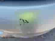 2006 Dodge 2500 SLT z VIN 3D7KS28D76G284730, wystawiony jako IAAI lot #42716906 z przebiegiem 128 281 mil mil oraz . Historia ofert i sprzedaży dostępna na DreamBid. Obrazek 18.