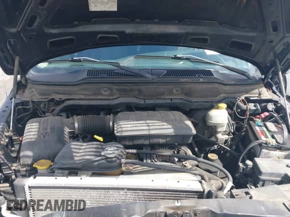 2003 Dodge 1500 ST with VIN 1D7HA18N93S311205, listed as a IAAI auction lot 42958774 with 161,334 mi miles and . Bid and sale history available at DreamBid. Image 10.