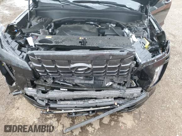 2025 Hyundai Palisade XRT with VIN KM8R3DGE1SU870807, listed as a Copart auction lot 65003425 with 7,150 mi miles and Salvage title. Bid and sale history available at DreamBid. Image 12.