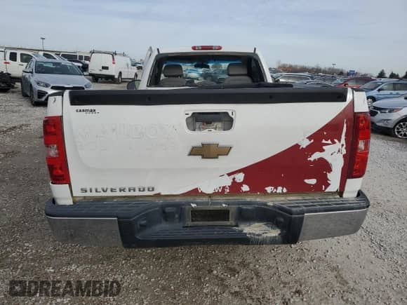 2009 Chevrolet Silverado 1500 Work Truck with VIN 1GCEC14X99Z212382, listed as a Copart auction lot 80115364 with Not provided miles and Salvage title. Bid and sale history available at DreamBid. Image 6.