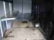 2020 Ram ProMaster Cargo с VIN 3C6URVJG9LE143919, выставлен на аукционе IAAI как лот 42963419 с пробегом 39 963 миль миль и . История ставок и продаж доступна на DreamBid. Изображение 8.