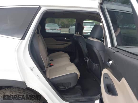 2023 Hyundai Santa Fe Blue с VIN 5NMS2DA18PH009010, выставлен на аукционе IAAI как лот 42306851 с пробегом 89 384 миль миль и . История ставок и продаж доступна на DreamBid. Изображение 8.