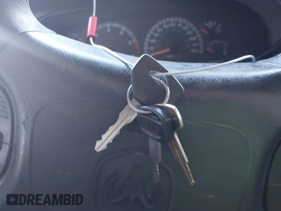 2000 Dodge Dakota с VIN 1B7GL22X2YS587619, выставлен на аукционе IAAI как лот 43484603 с пробегом 230 262 миль миль и . История ставок и продаж доступна на DreamBid. Изображение 11.