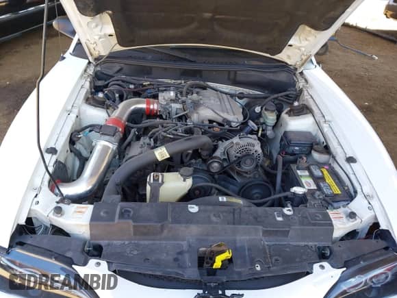 1998 Ford Mustang z VIN 1FAFP4049WF115160, wystawiony jako IAAI lot #43302060 z przebiegiem 101 460 mil mil oraz . Historia ofert i sprzedaży dostępna na DreamBid. Obrazek 10.