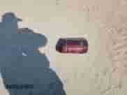 2016 Ford F-150 XLT z VIN 1FTEW1CP6GFB19567, wystawiony jako Copart lot #80912985 z przebiegiem 91 789 mil mil oraz Szkoda całkowita • Salvage title. Historia ofert i sprzedaży dostępna na DreamBid. Obrazek 12.