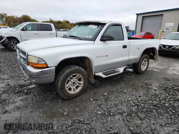 2001 Dodge Dakota with VIN 1B7GG26X31S234049, listed as a Copart auction lot 86814245 with 172,303 mi miles and Salvage title. Bid and sale history available at DreamBid. Image 1.