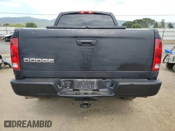 2002 Dodge RAM with VIN 1B7HA16N22J121604, listed as a Copart auction lot 53303145 with 239,142 mi miles and Salvage title. Bid and sale history available at DreamBid. Image 6.