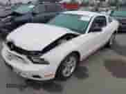 2010 Ford Mustang V6 с VIN 1ZVBP8AN5A5146148, выставлен на аукционе IAAI как лот 43361975 с пробегом 91 063 миль миль и . История ставок и продаж доступна на DreamBid. Изображение 18.