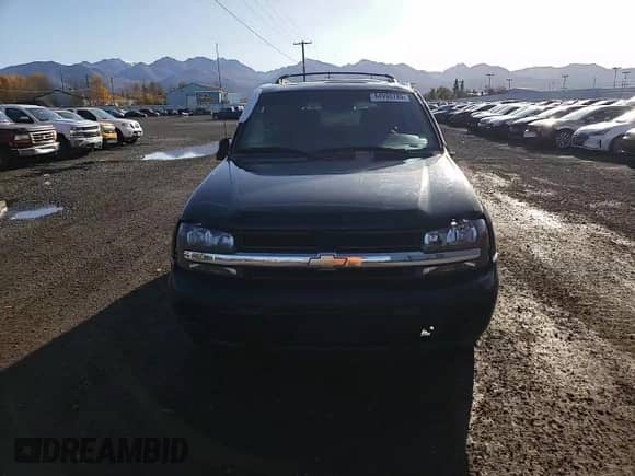 2002 Chevrolet TrailBlazer LS with VIN 1GNDT13S122487638, listed as a Copart auction lot 84998785 with 146,604 mi miles and Salvage title. Bid and sale history available at DreamBid. Image 14.